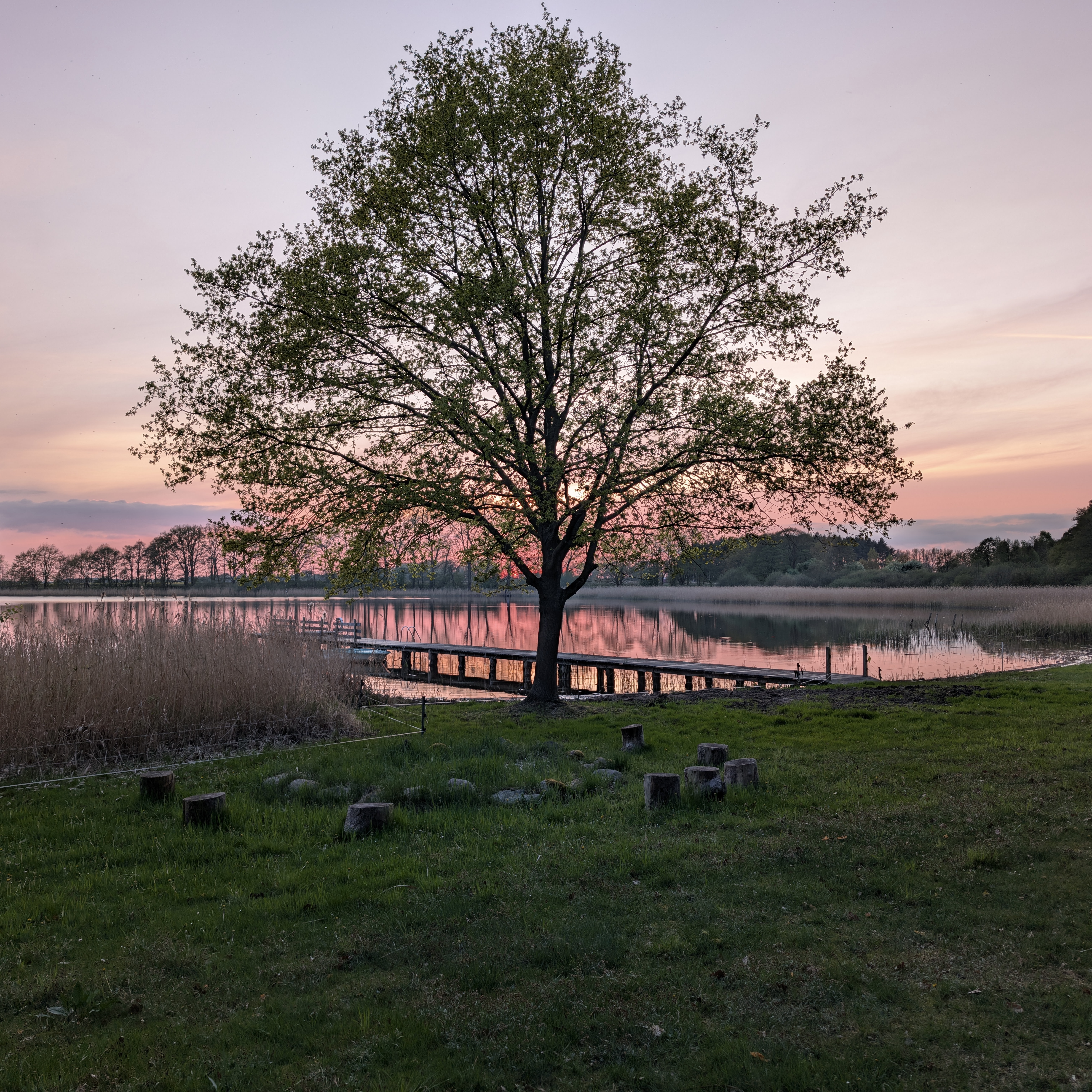 Beneath the stars: A Night in France
